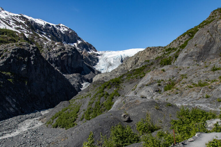 Exit Glacier - 2024