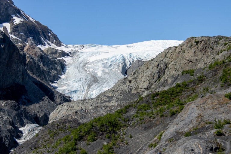 Exit Glacier - 2024