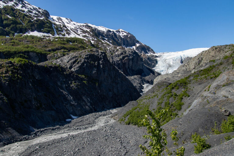Exit Glacier - 2024