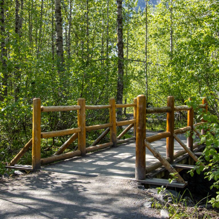 Exit Glacier - 2024