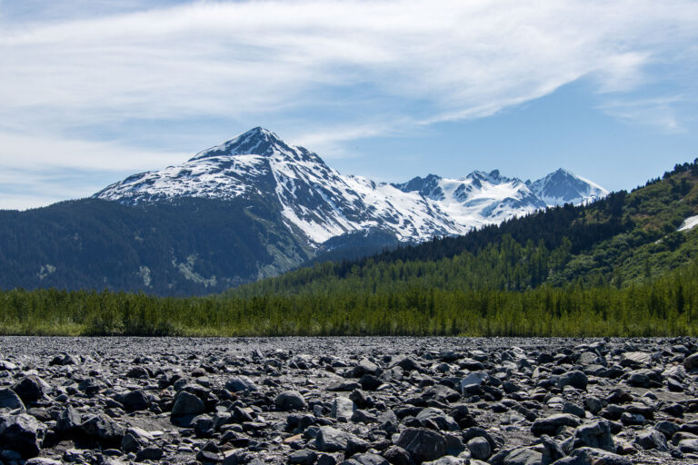Exit Glacier - 2024