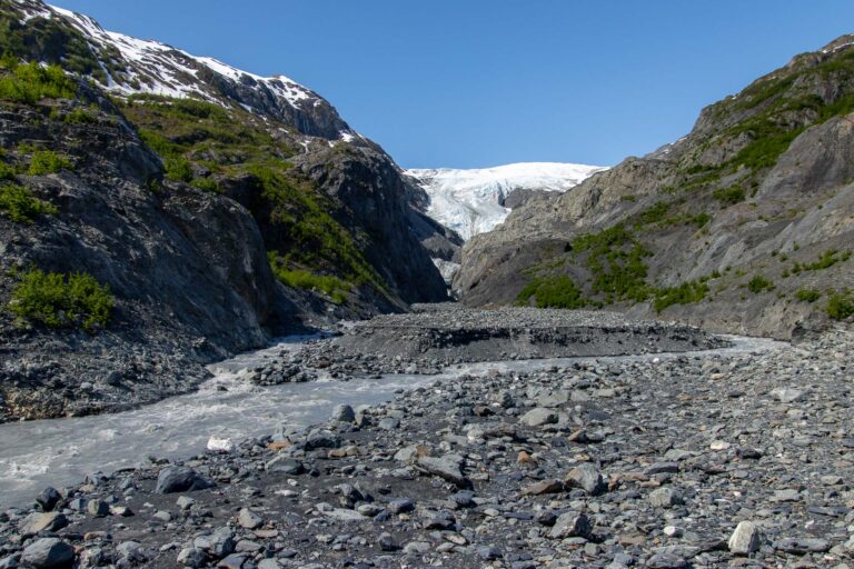 Exit Glacier - 2024