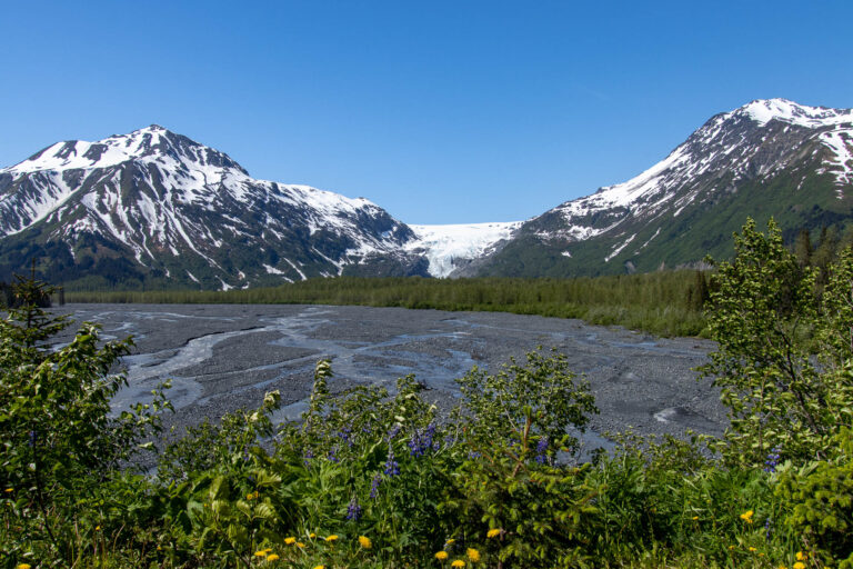Exit Glacier - 2024