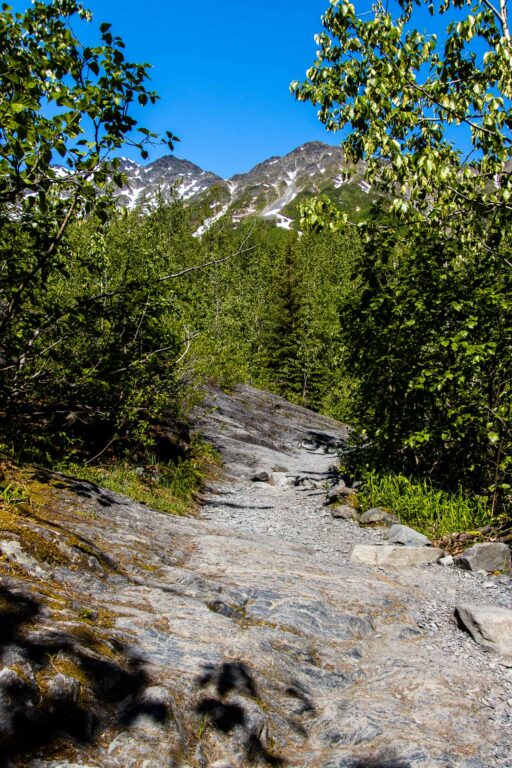 Exit Glacier - 2024