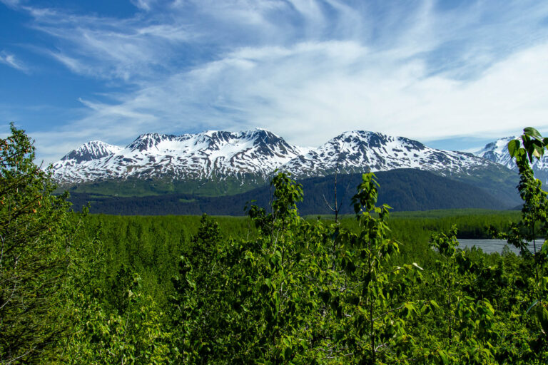Exit Glacier - 2024