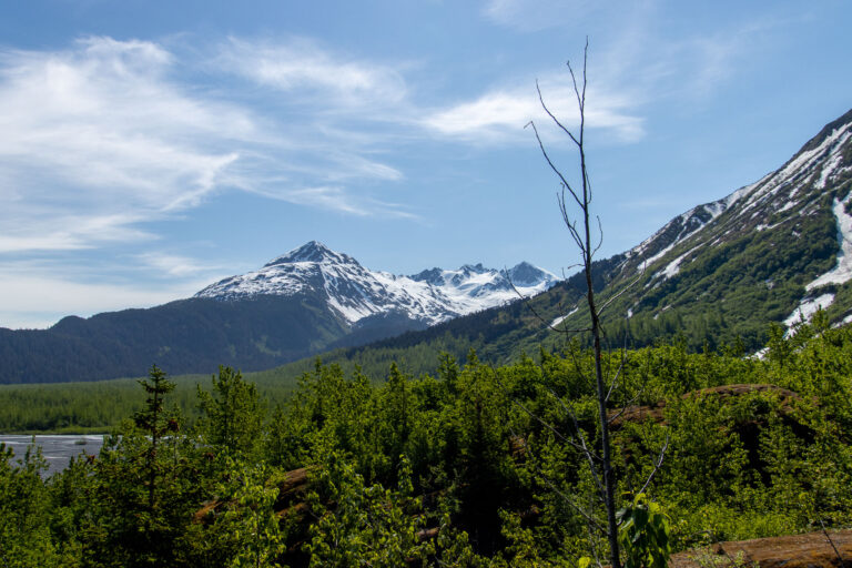 Exit Glacier - 2024