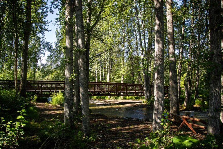 Far North Bicentennial Park - 2025