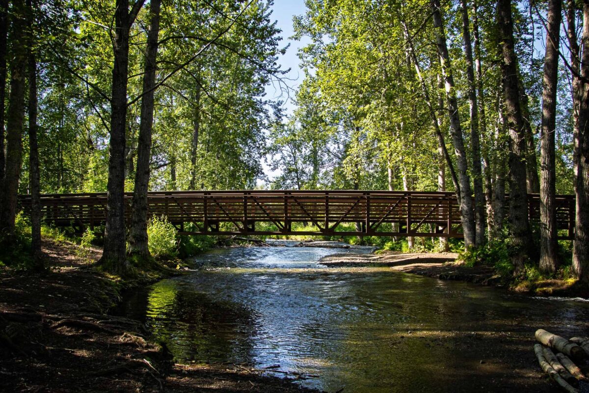 Far North Bicentennial Park - 2025
