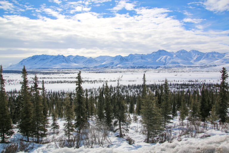 Glenn Highway - 2018