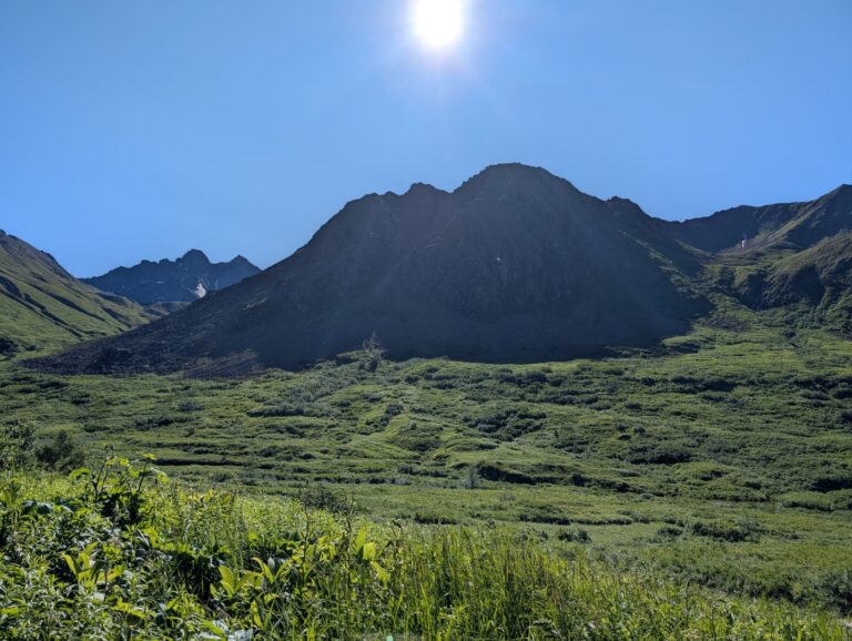 Gold Mint Trail - July 2026