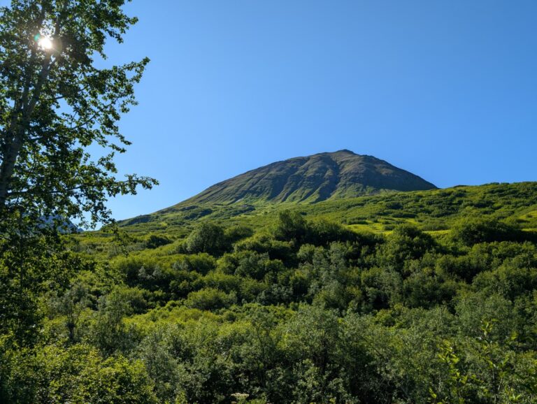 Gold Mint Trail - July 2026