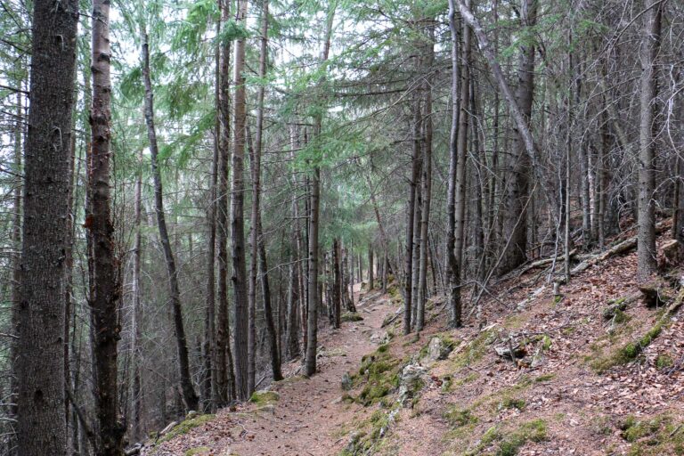 Gull Rock Trail - 2017