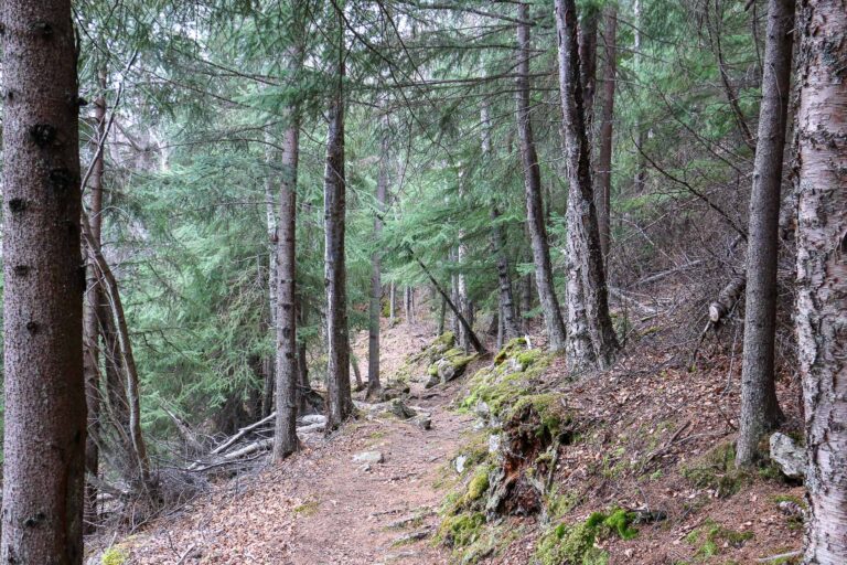 Gull Rock Trail - 2017