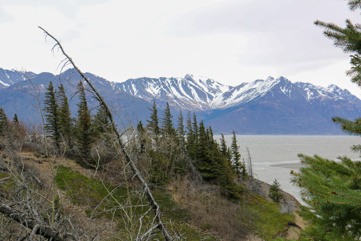 Gull Rock Trail - 2017