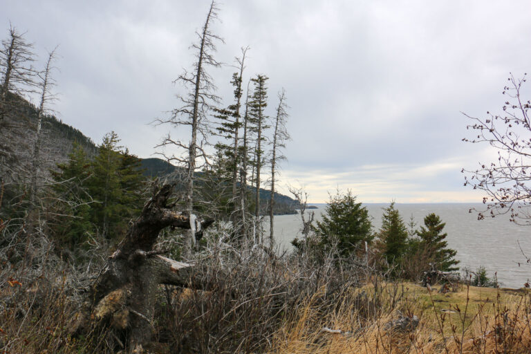 Gull Rock Trail - 2017