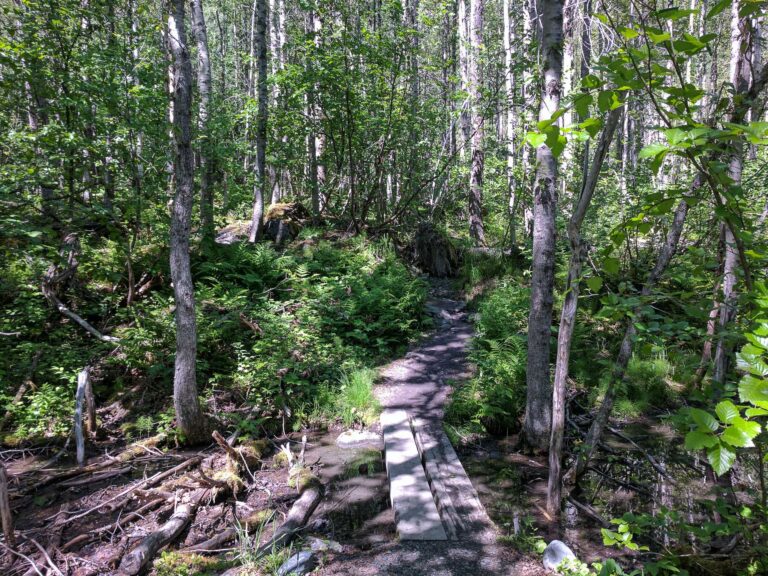 Harding Icefield Trail - 2017
