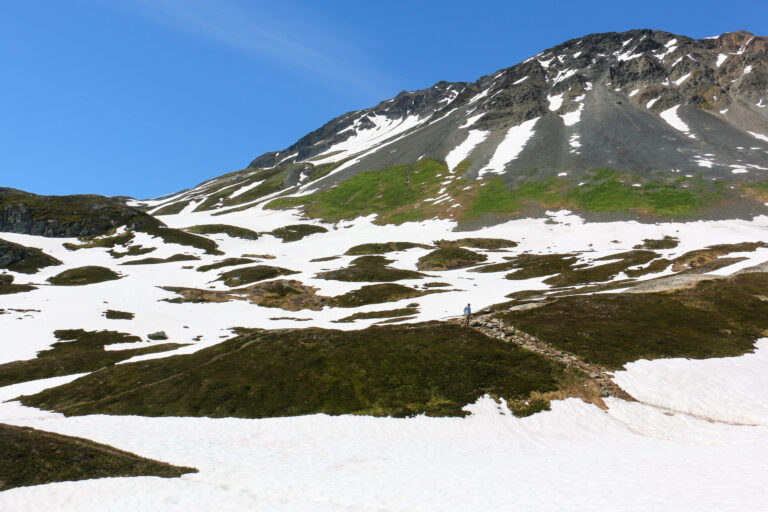 Harding Icefield Trail - 2017