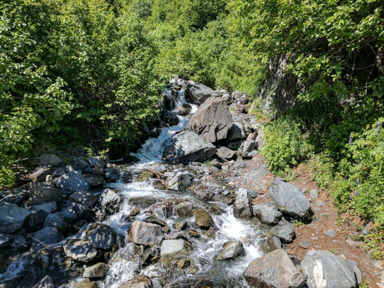 Harding Icefield Trail - 2017