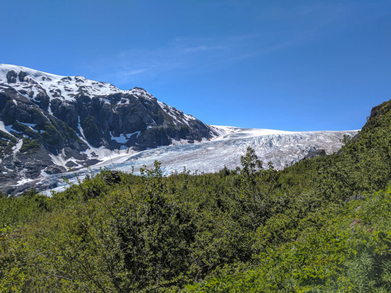 Harding Icefield Trail - 2017