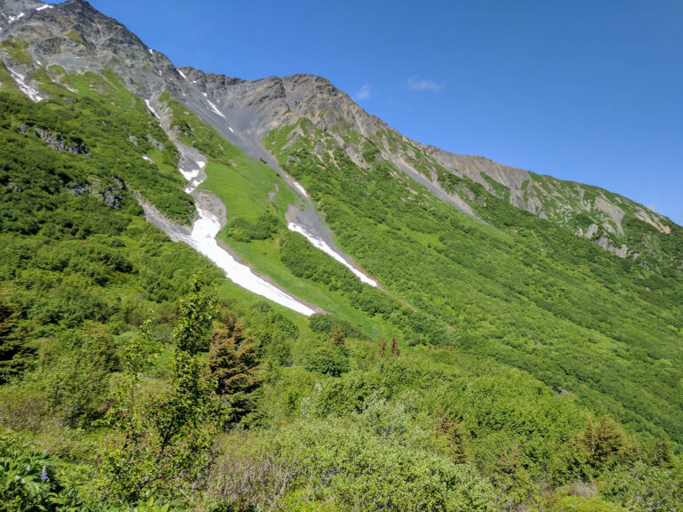 Harding Icefield Trail - 2017
