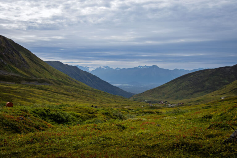 Hatcher Pass - 2025