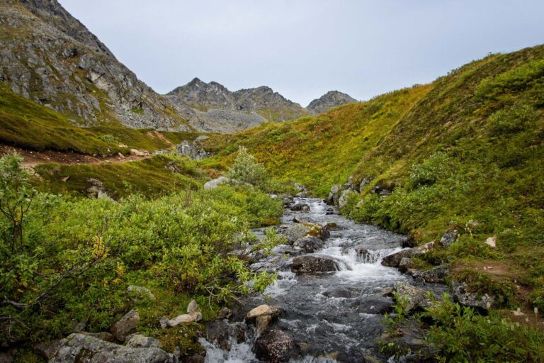 Hatcher Pass - 2025