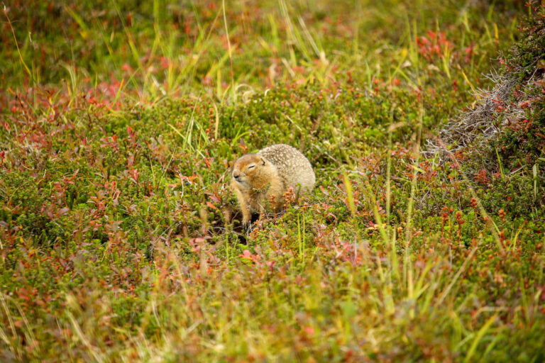 Hatcher Pass - September 2017