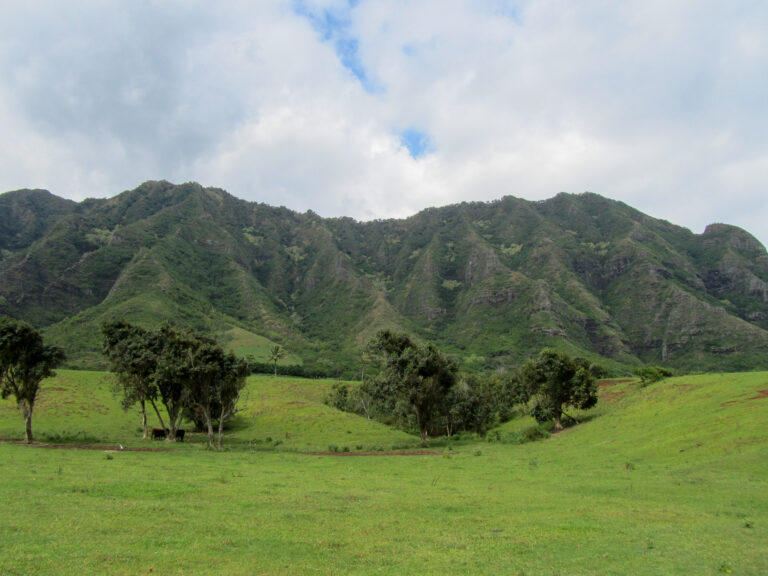 Hawaii - 2011