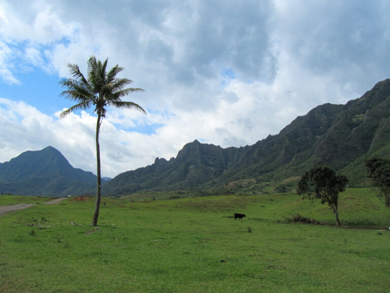Hawaii - 2011