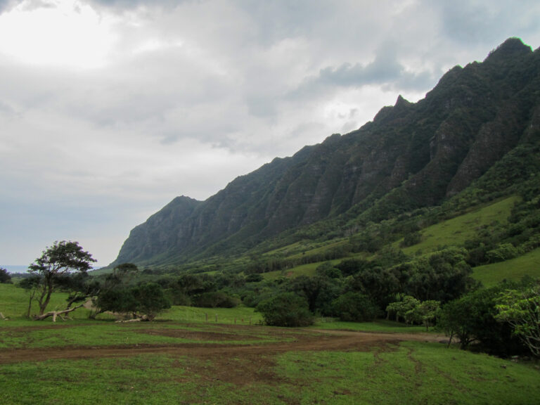 Hawaii - 2011