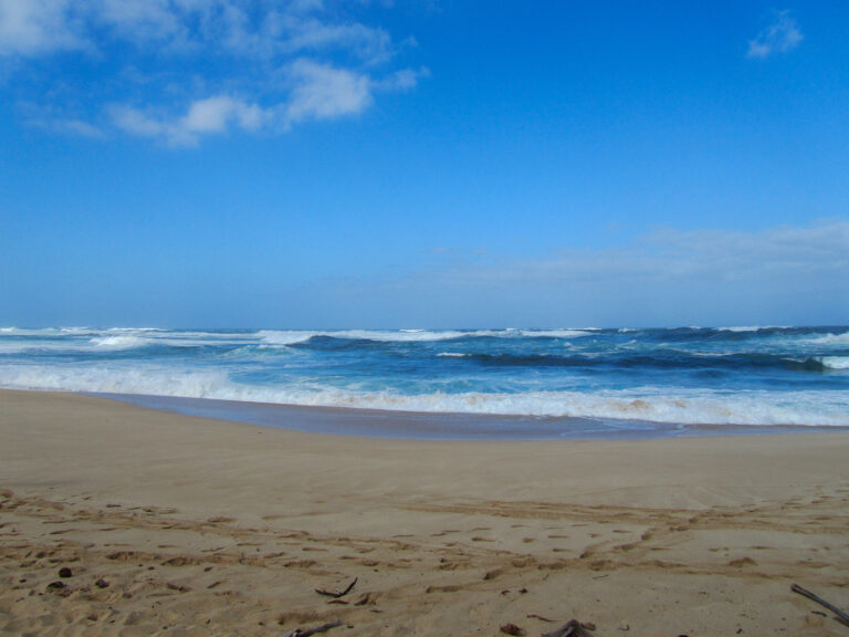 Hawaii - 2011