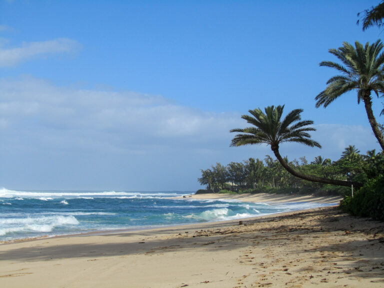 Hawaii - 2011