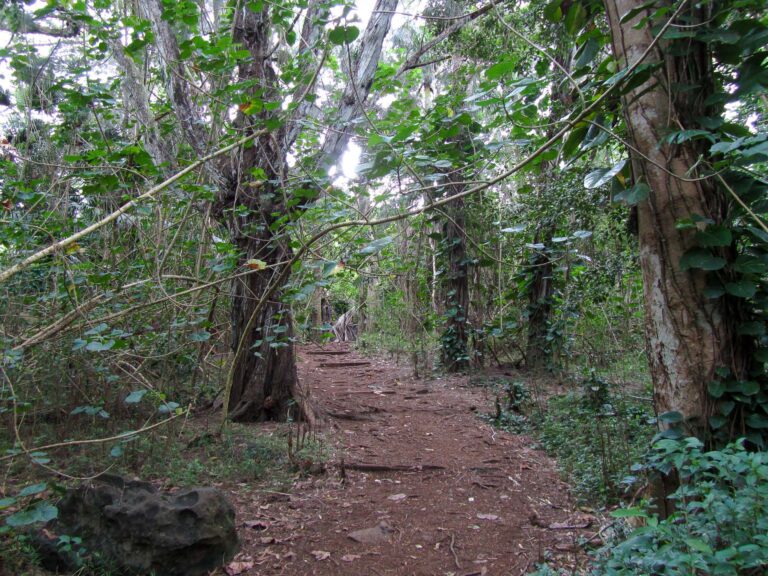 Hawaii - 2011