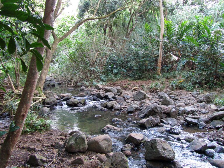 Hawaii - 2011