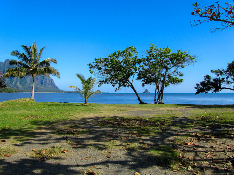 Hawaii - 2011