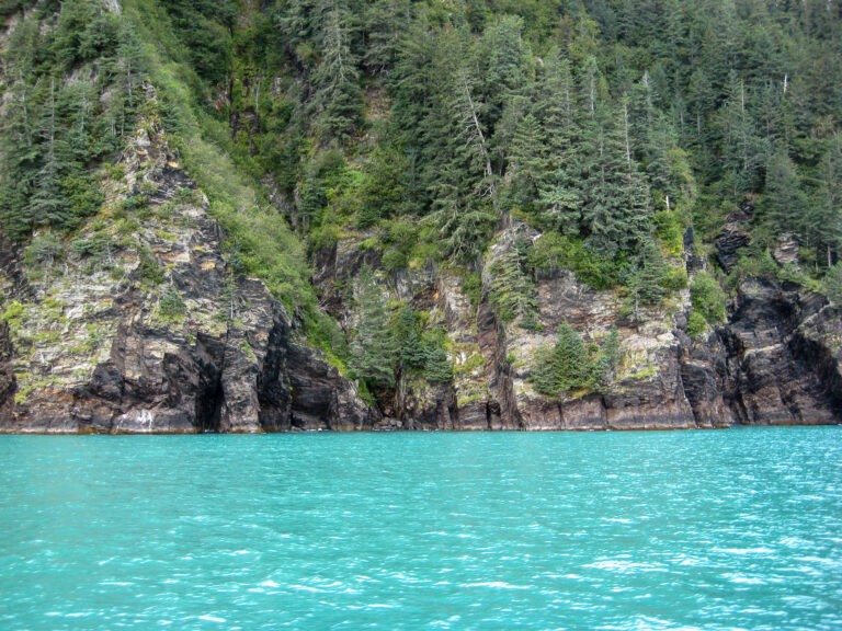 Kenai Fjords Tour - 2009