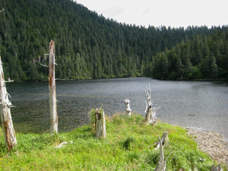 Kenai Fjords Tour - 2009