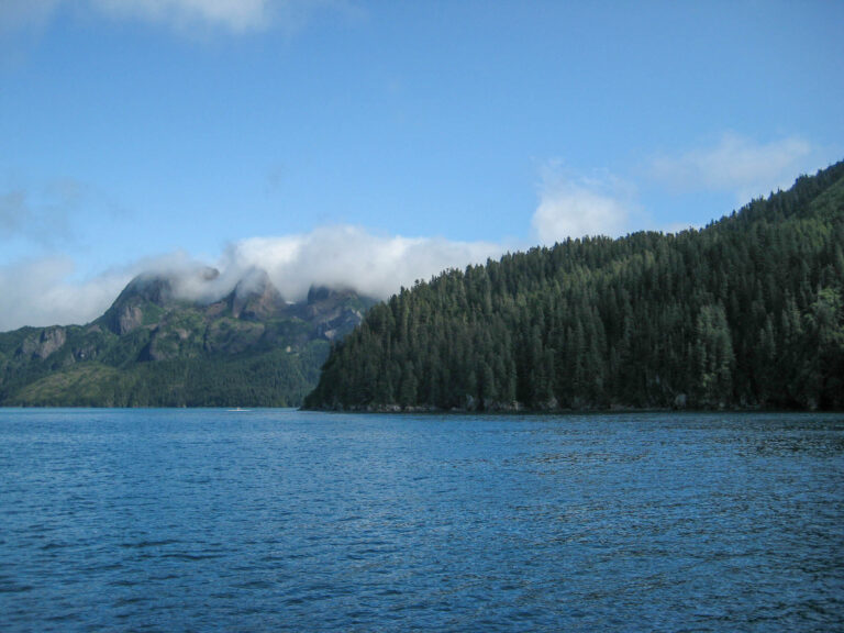 Kenai Fjords Tour - 2009