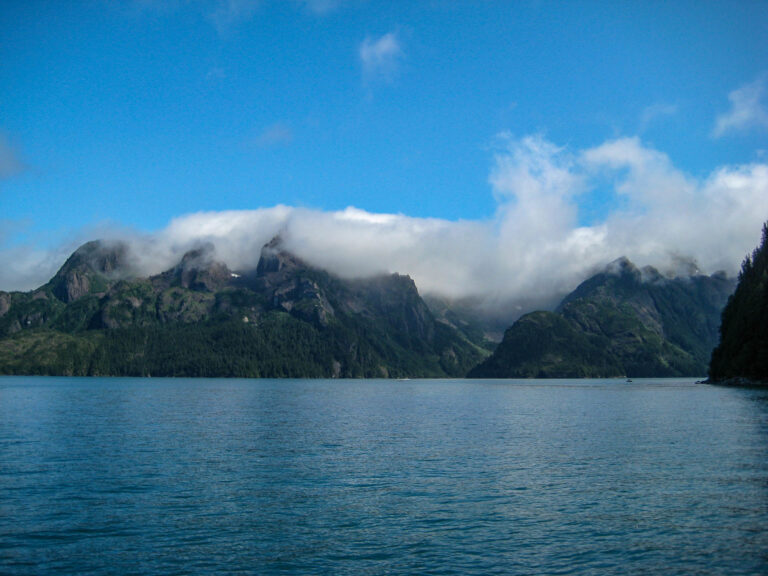 Kenai Fjords Tour - 2009
