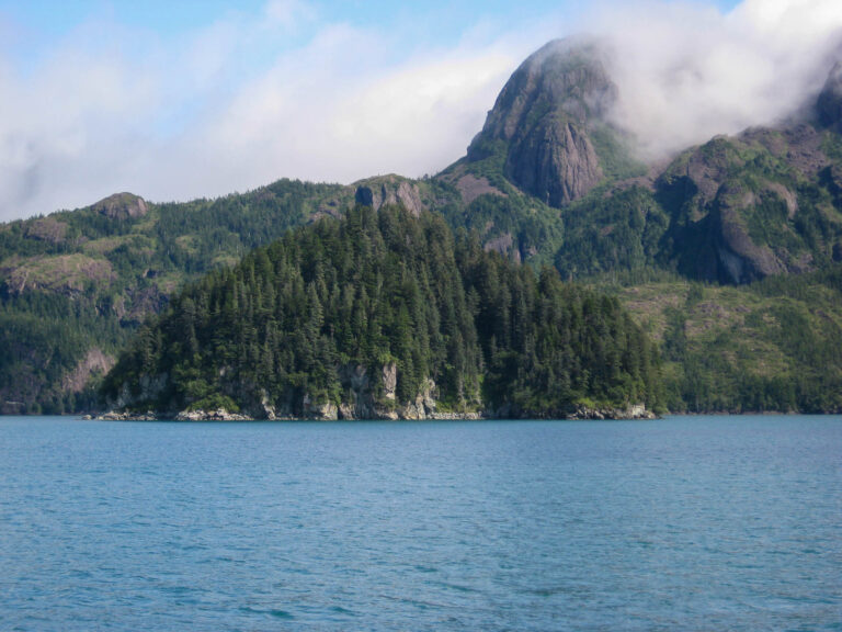 Kenai Fjords Tour - 2009