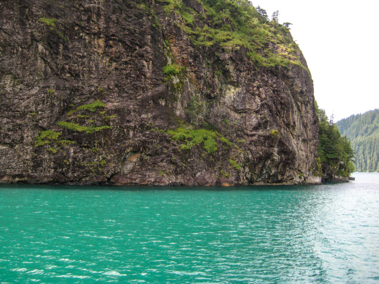 Kenai Fjords Tour - 2009