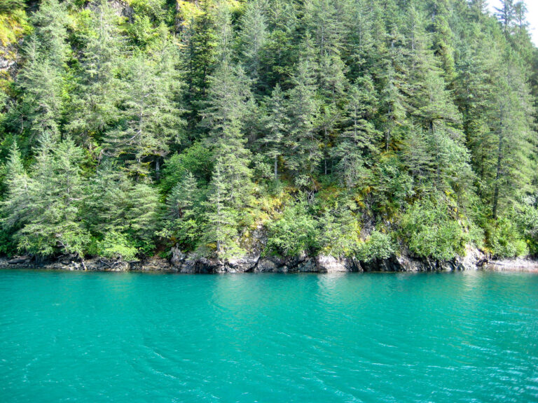 Kenai Fjords Tour - 2009
