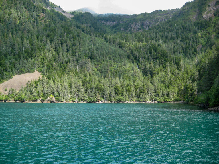 Kenai Fjords Tour - 2009