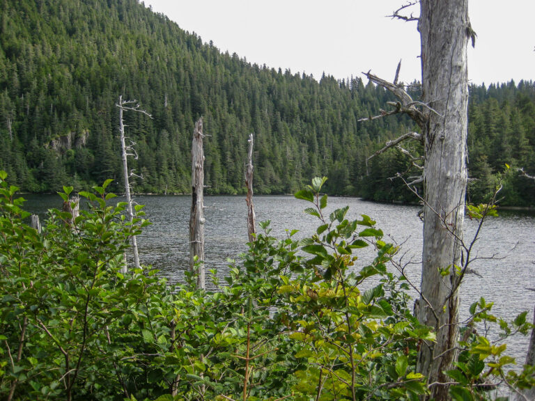 Kenai Fjords Tour - 2009