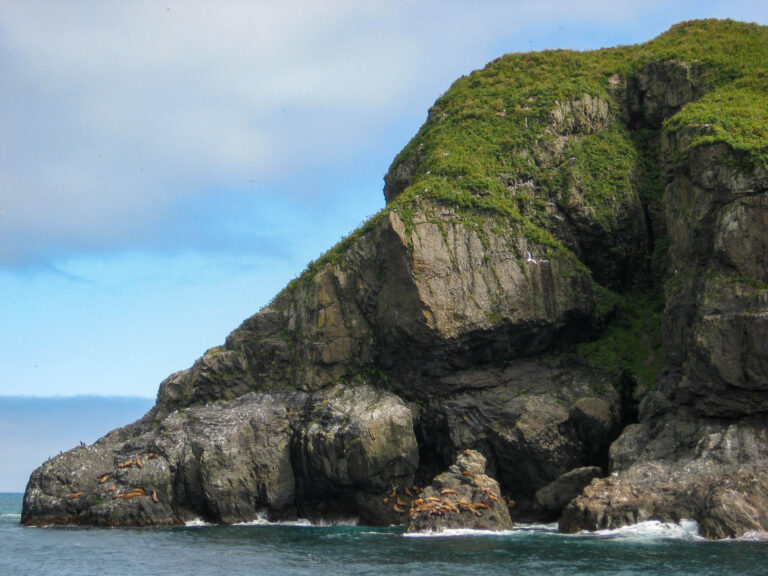 Kenai Fjords Tour - 2009