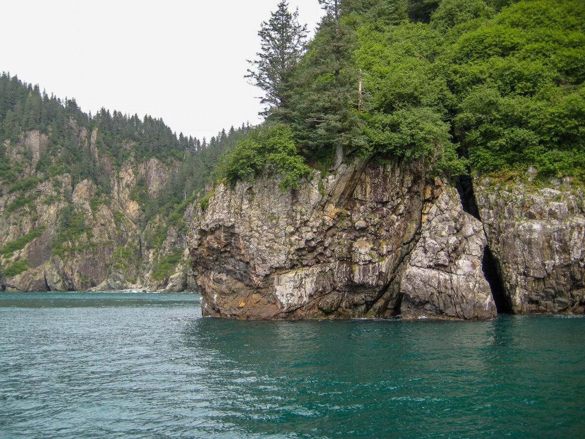 Kenai Fjords Tour - 2009