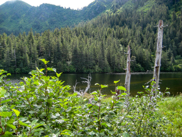 Kenai Fjords Tour - 2009