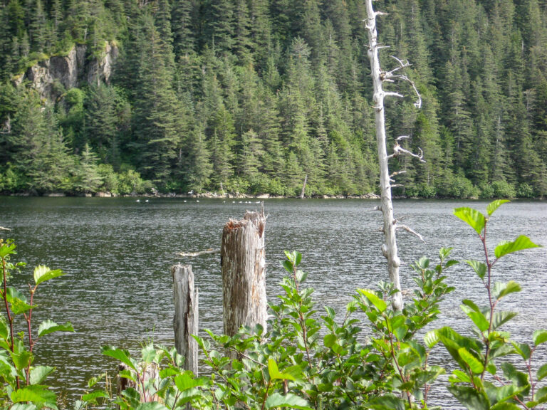 Kenai Fjords Tour - 2009