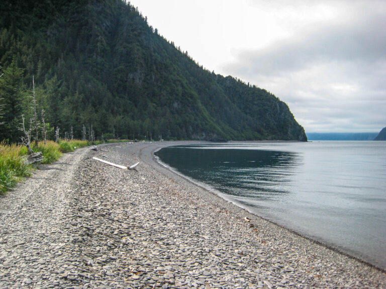 Kenai Fjords Tour - 2009