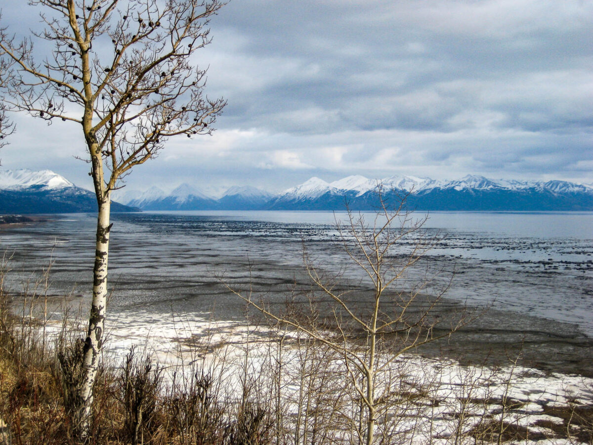 Kincaid Park - 2009
